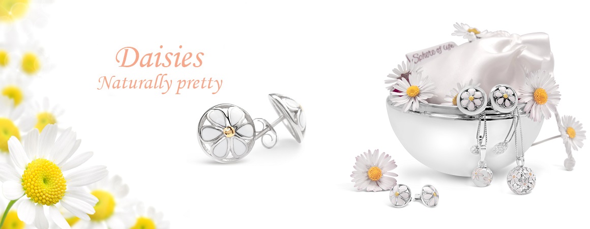 banner-daisy11111xyz.jpg